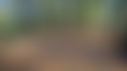 ATA Spring Trail Work Day