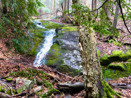 Spring Time on the Mountain