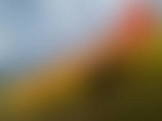 Things, They are a-Changing