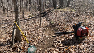 VT50 Trail Day Sunday