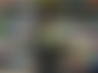 Всеукраїнський місячник шкільних бібліотек в Ізмаїльському ліцеї № 16