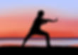 Tai Chi Session (1)