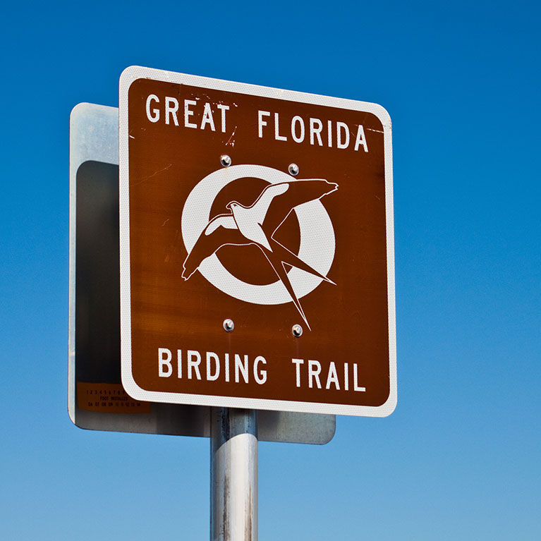 Great Florida Birding and Wildlife Trail Tour Kickoff with David Simpson