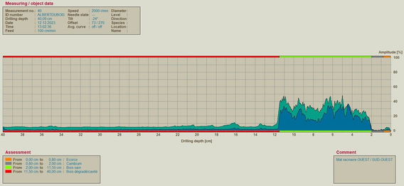 Expertise arboricole - diagnostic phytosanitaire et analyse par résistographe