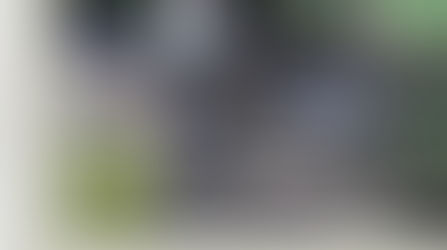 Comparing the Hardy CC De France with Tom Regula Split Cane Fly Rods. Part Two of "Bring Back T