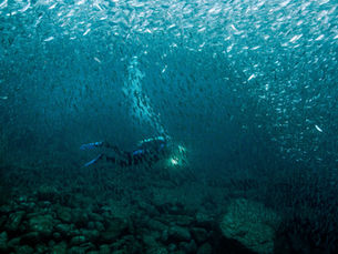 How Therapy Helps With Intrusive and “What If” Thoughts in San Jose