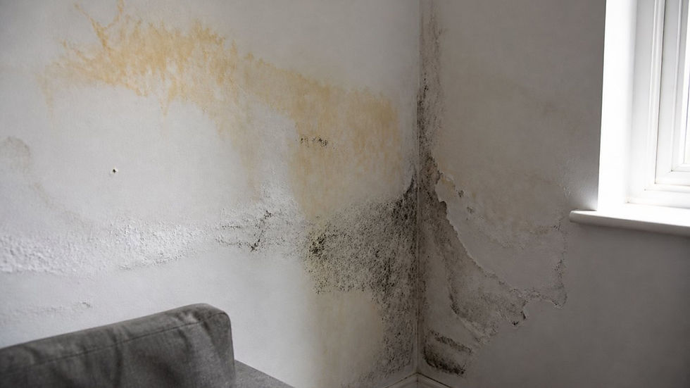 Ernstige vochtplekken, zwarte schimmelvorming en afbladderend stucwerk op een binnenmuur door vochtproblemen en mogelijke lekkage in de woning.