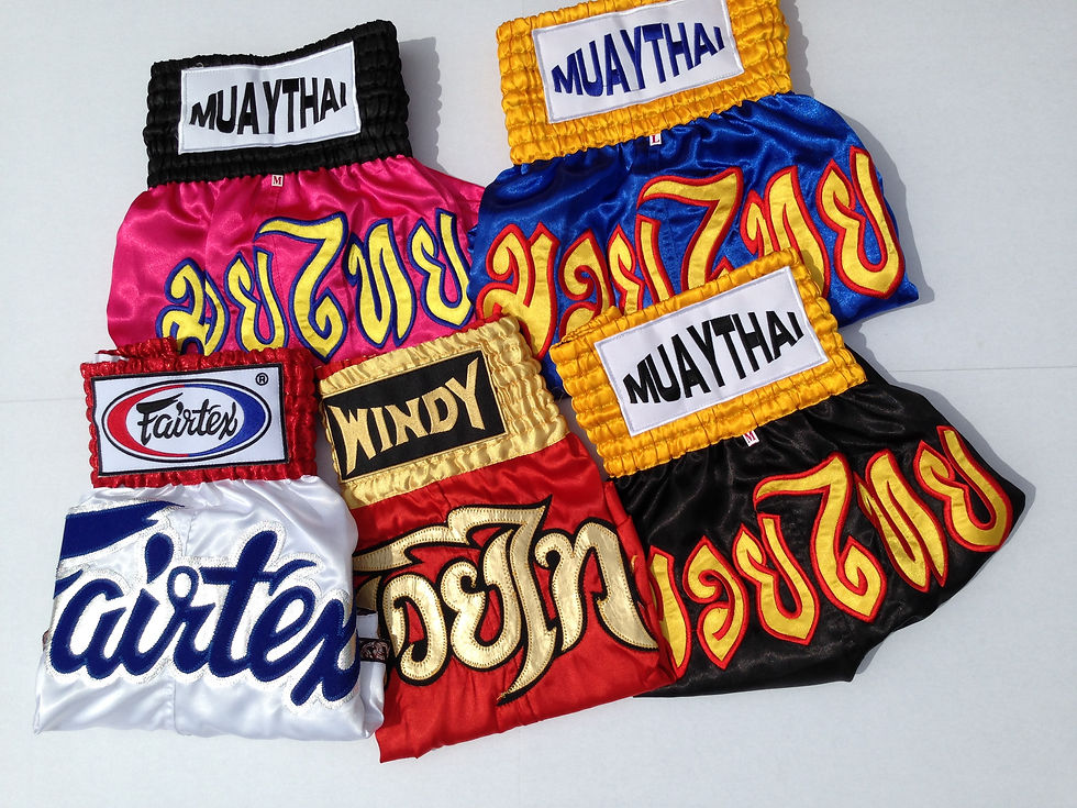 Muay thai boxer
