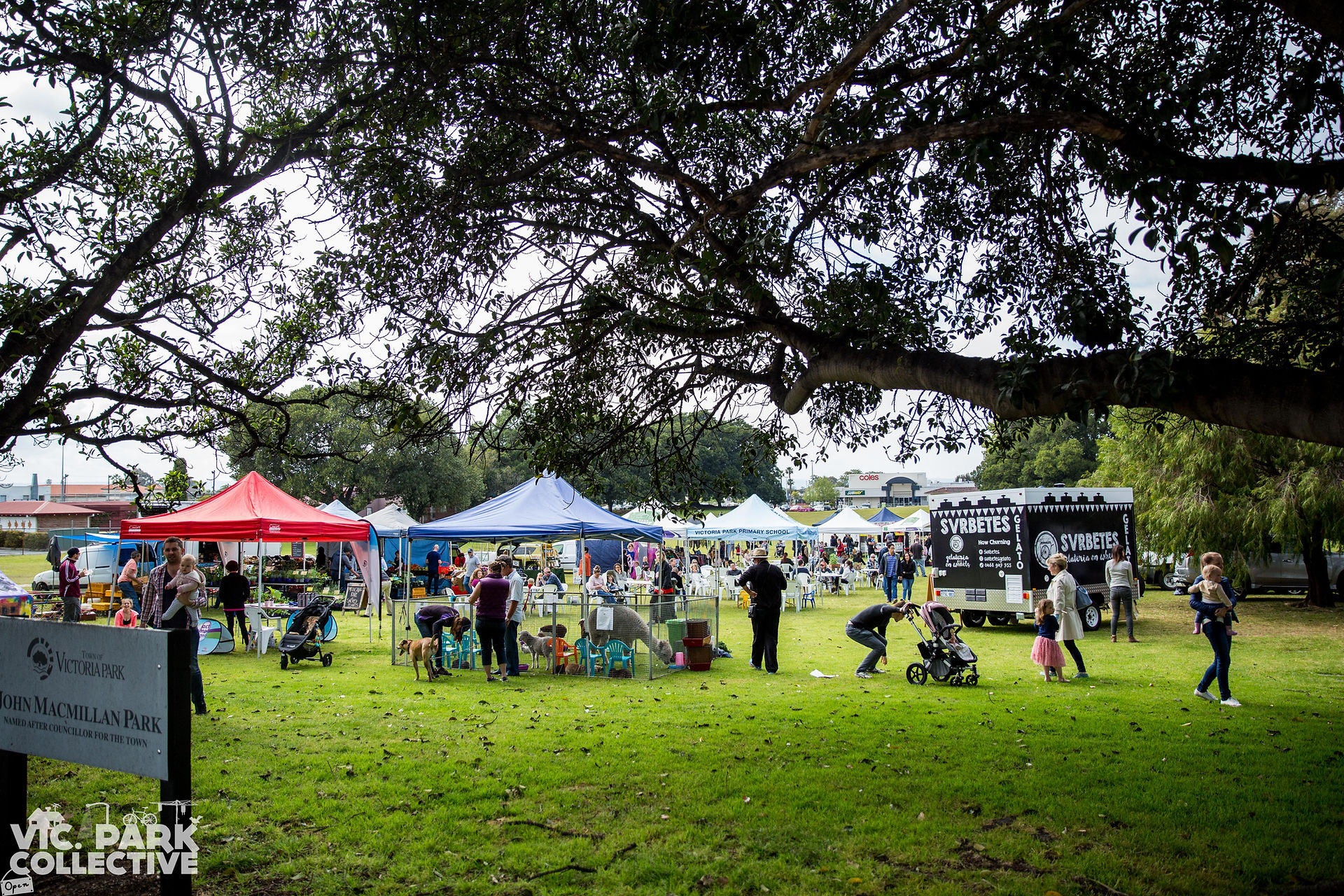 Car Free Day on Kent Street