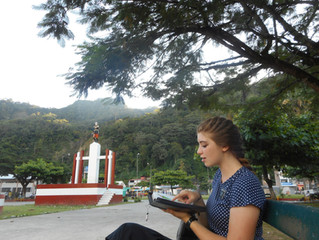 Week 13: Adelante como Elefante!* (*Forward like an Elephant!)
