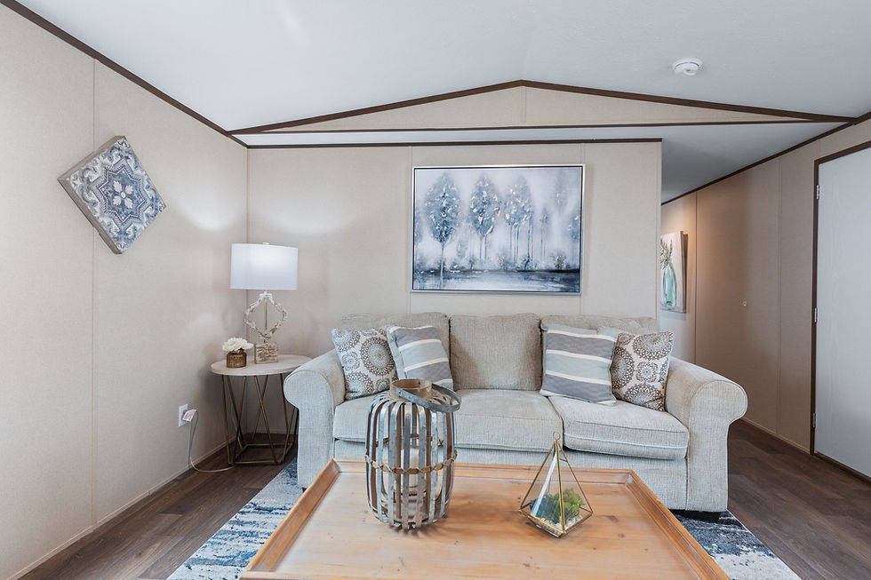 Thumbnail: Clayton 3/2, 924 Sq. ft, 14x66