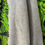 Thumbnail: Creature Sweatshirt
