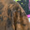 Thumbnail: Creature Tee