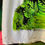 Thumbnail: Creature Tee