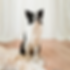 Design sans titre (3).png
