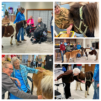 Collage of various photos from our first REAP visit