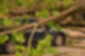 TREE STORM PREP EMERGENCY TREE CARE