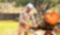 LOCAL TREE SERVICE NEAR ME
