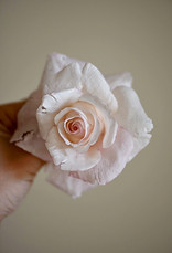IMG_2539_edited.jpg
