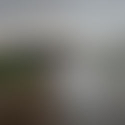 How Colour Grading Enhances the Cinematic Look of Your Wedding Film