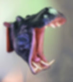 Hippo