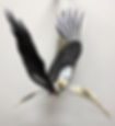 Stork