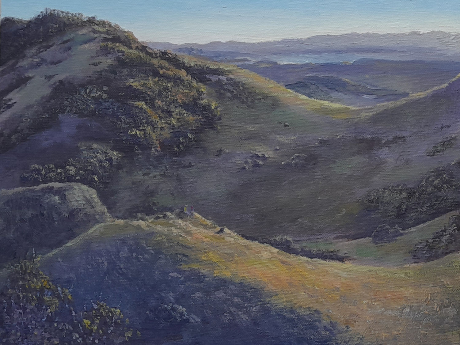 Sunlight hits the top of some rolling hills in Wellington, New Zealand as mist rises from the valley further away in the distance. Vibrant greens and oranges of the grass contrast with cooler blues and purples on the shaded side of the hills on this oil painting. 