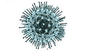 unnamed (1).png