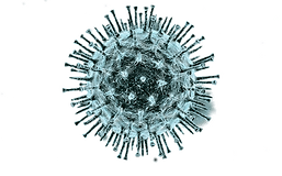 unnamed (1).png
