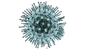 unnamed (1).png