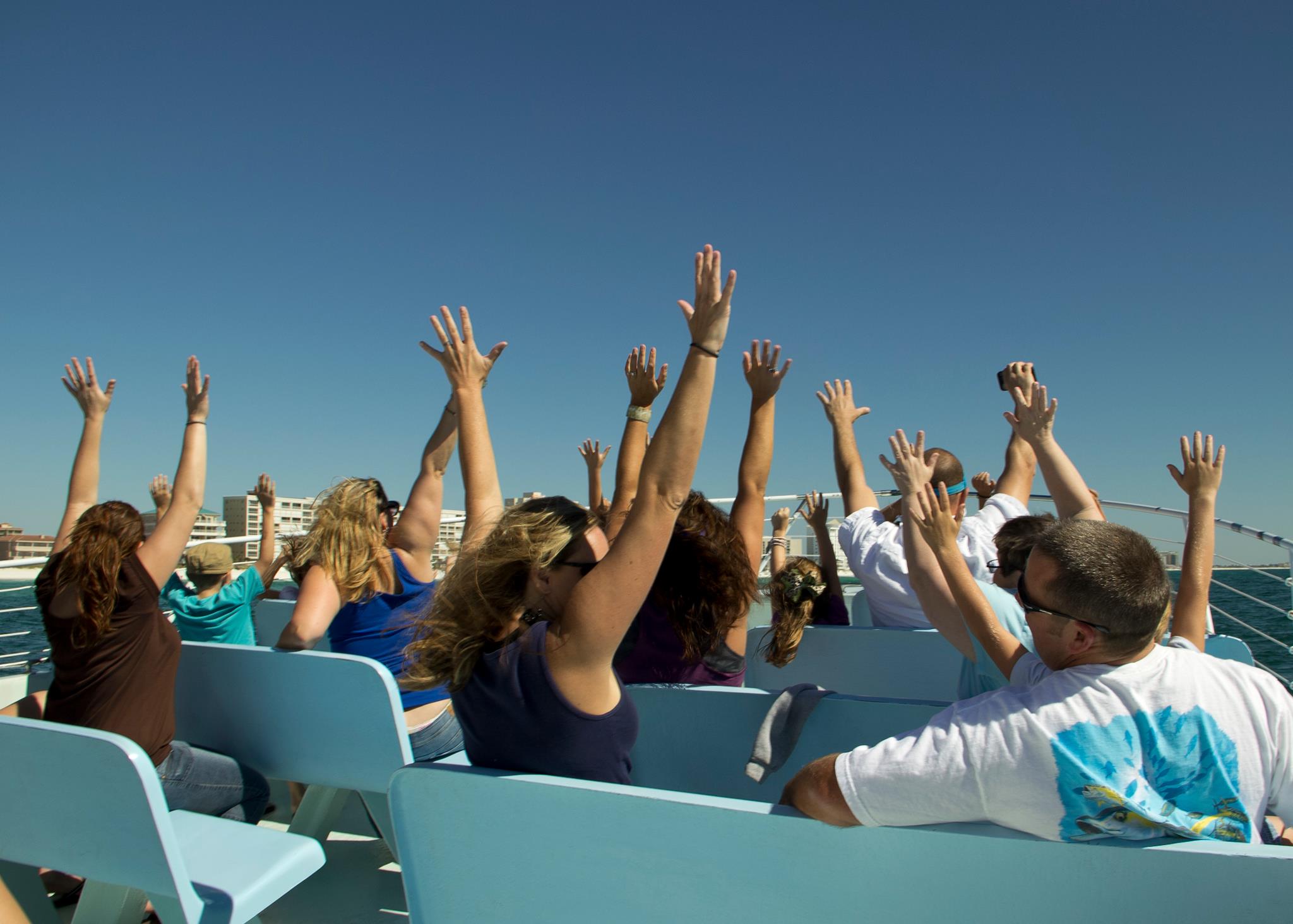 ajs dolphin cruise destin