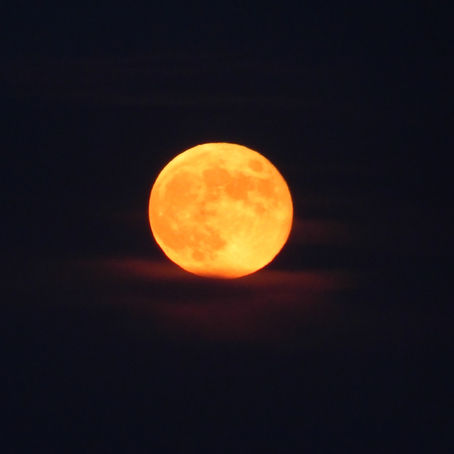 Femme Lune