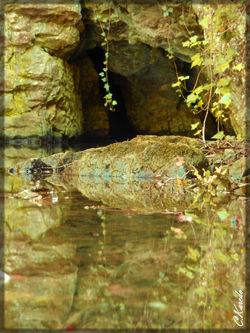L'entrée secrète