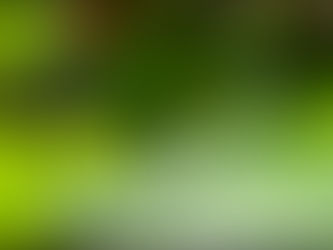 Microcosmos : nouvelle galerie