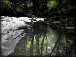 Les eaux calmes