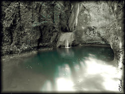 Oasis