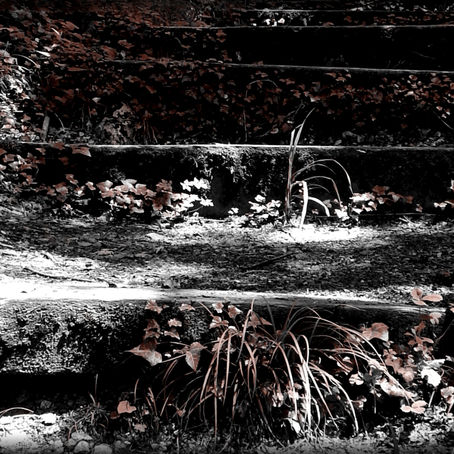 Le sentier