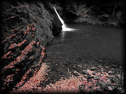 Les ors de l'eau