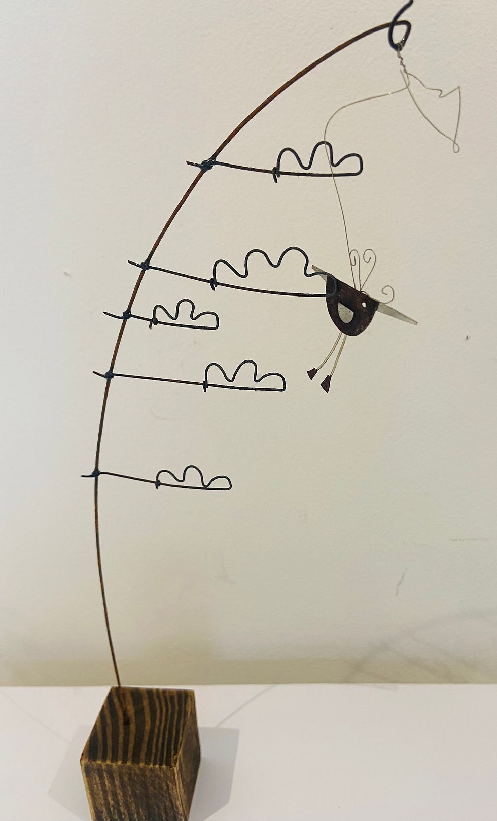 Thumbnail: Sarah Jane Brown, High Flyer. 