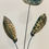 Thumbnail: Shirley Vauvelle  Flower Stem Sculpture 