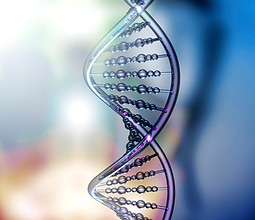 DNA
