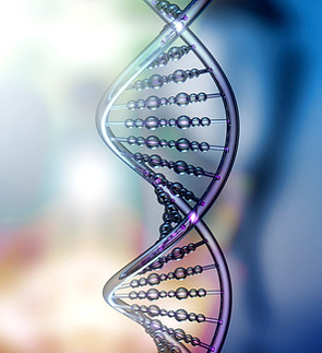 DNA Double Helix
