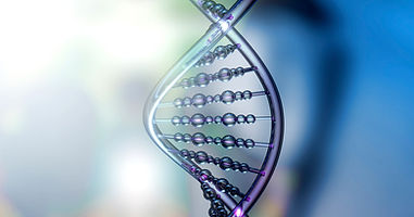 DNA
