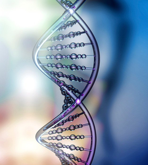 DNA