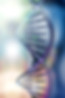 DNA