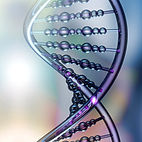 DNA
