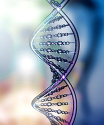 DNA Double Helix