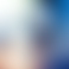 Reese Haplogroup R-L 1029