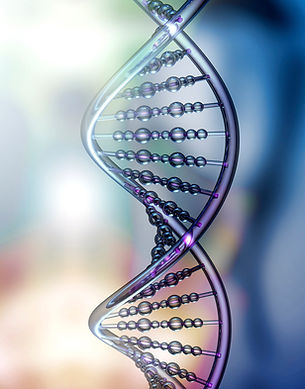 DNA