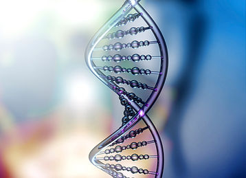 DNA Double Helix